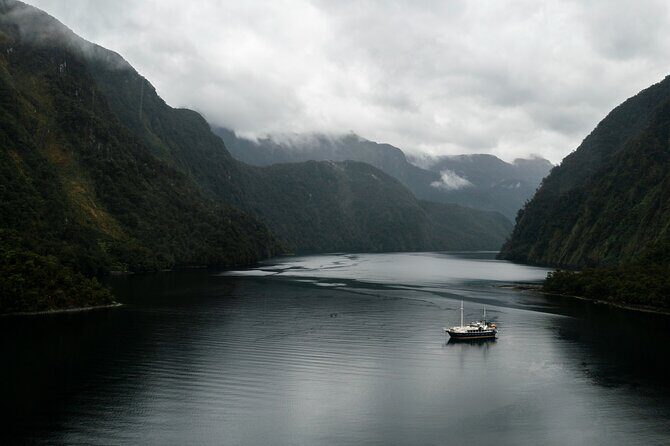 Doubtful Sound Overnight Cruise - Wildlife spotting that feels real (not forced)