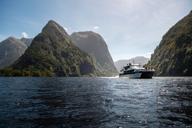 Doubtful Sound Wilderness Day Cruise from Manapouri - Key things I’d plan around