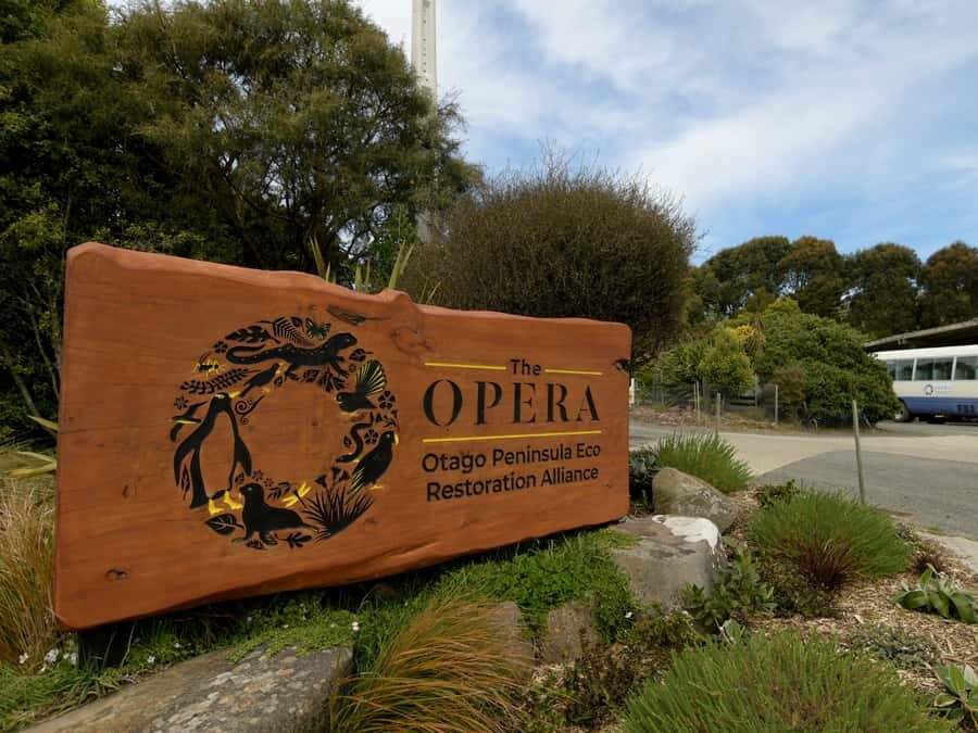Dunedin: Wildlife and Penguin Tour - Theatre Time: Habitat Restoration and How Visitors Fit In