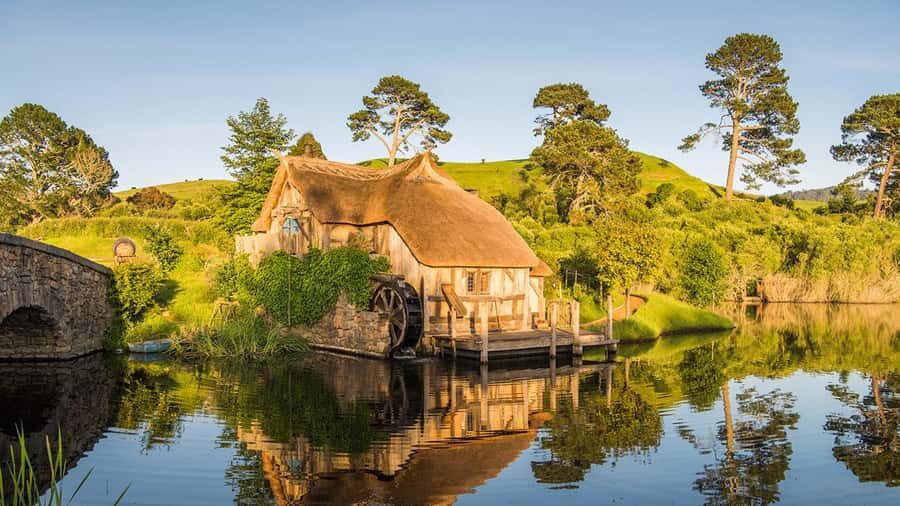 From Auckland: Hobbiton Movie Set Small Group Tour - Hobbiton Movie Set on foot: 12 acres, 44 hobbit holes, and an official guide