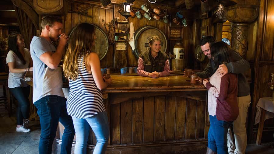 From Auckland: Hobbiton Movie Set Small Group Tour - Price and value: is $176 a fair deal for Hobbiton?