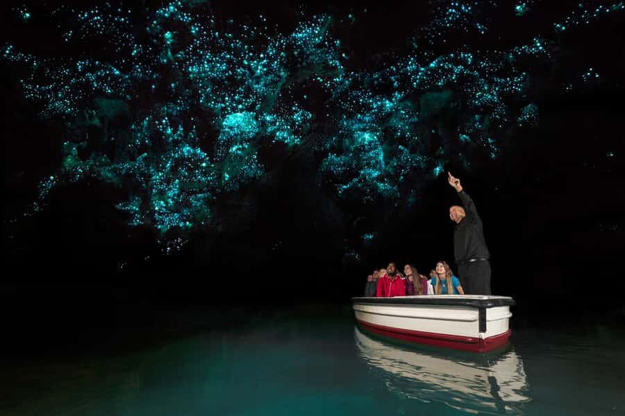 From Auckland: Hobbiton & Waitomo Caves Day Trip with Lunch - Value Check: Is $221 a Fair Deal for Hobbiton + Waitomo?
