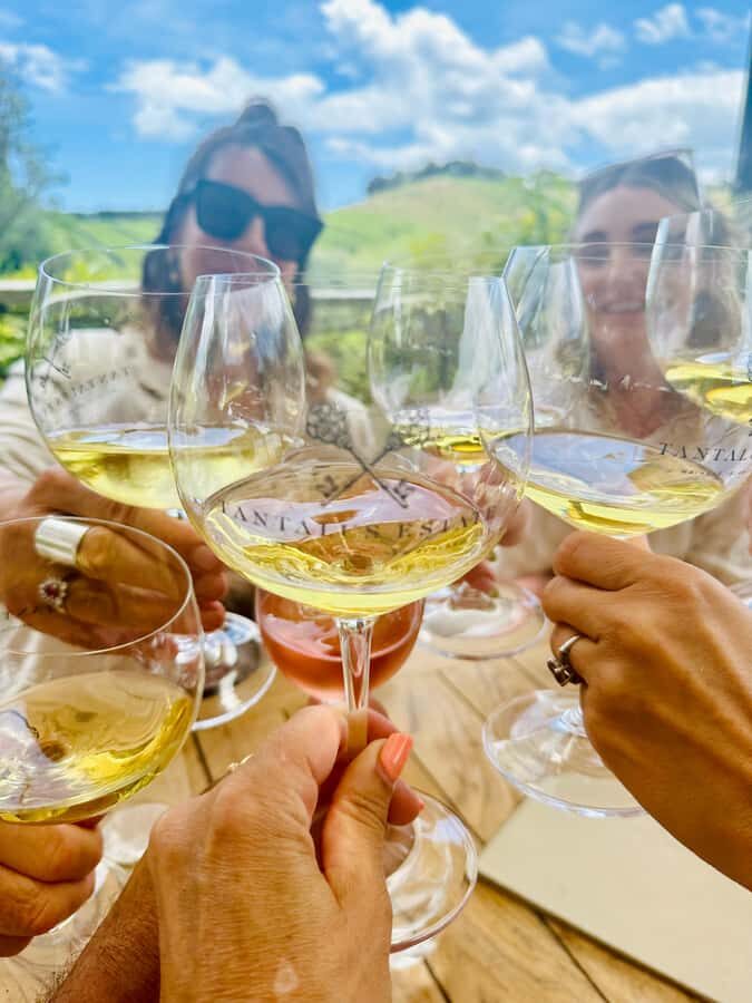 From Auckland: Waiheke Island Wineries' Tour - Small-group wine tasting: what up to 10 people really changes