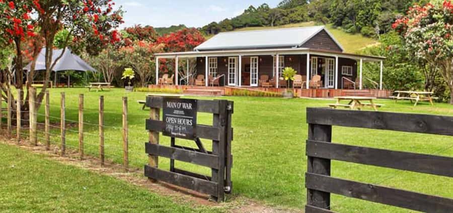 From Auckland: Waiheke Island Wineries' Tour - Comfort, tour vehicle, and pacing: what to expect in the van