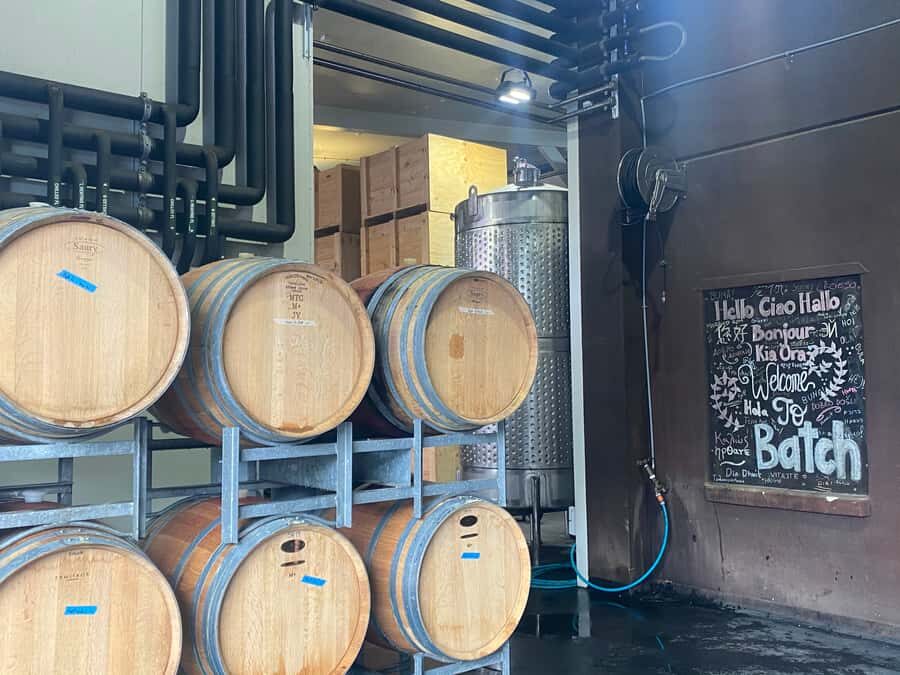 From Auckland: Waiheke Island Wineries' Tour - Who should book this Waiheke wine tour (and who might want a different style)