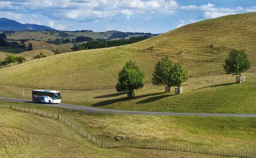 From Auckland: Waitomo & Hobbiton Bus Tour with Lunch - Should you book GreatSights Auckland to Waitomo and Hobbiton?