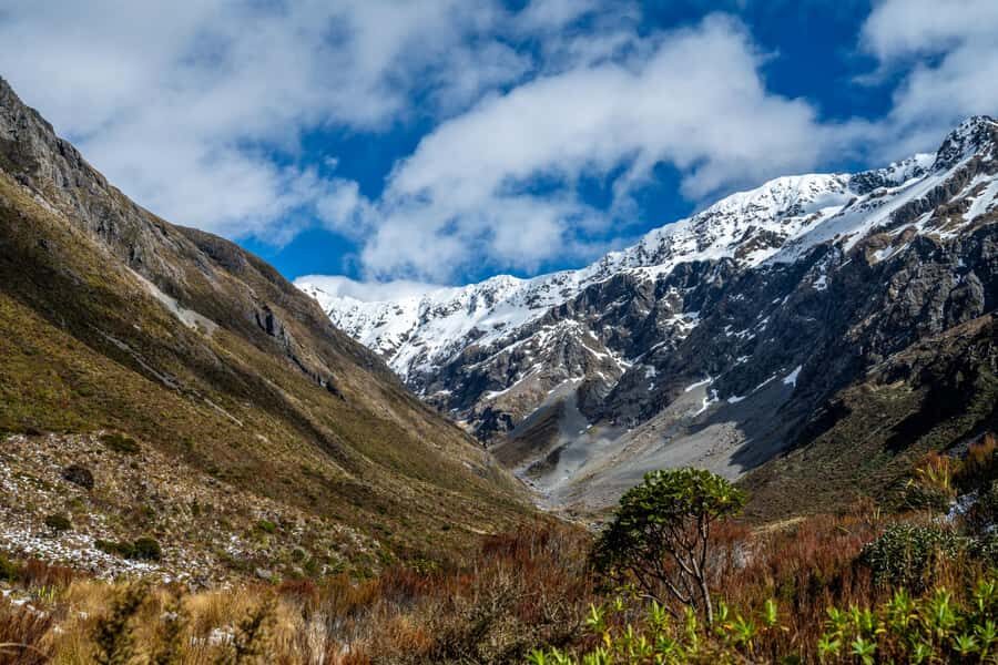 From Christchurch: Arthur's Pass with TranzAlpine & Lunch - Who this tour fits best
