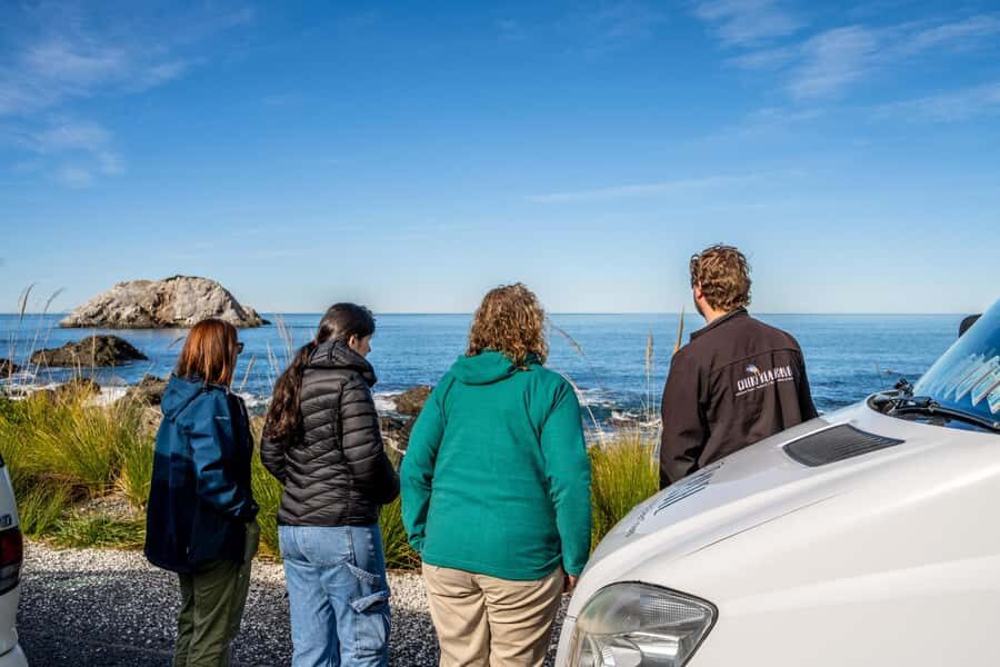 From Christchurch: Kaikōura Day Tour with Whale Watching - On the Water: What Whale Watching Looks Like Here