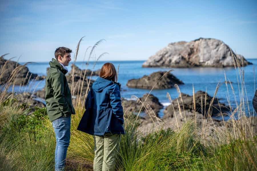 From Christchurch: Kaikōura Day Tour with Whale Watching - The Christchurch to Kaikōura Drive: Early Start, Smart Stops