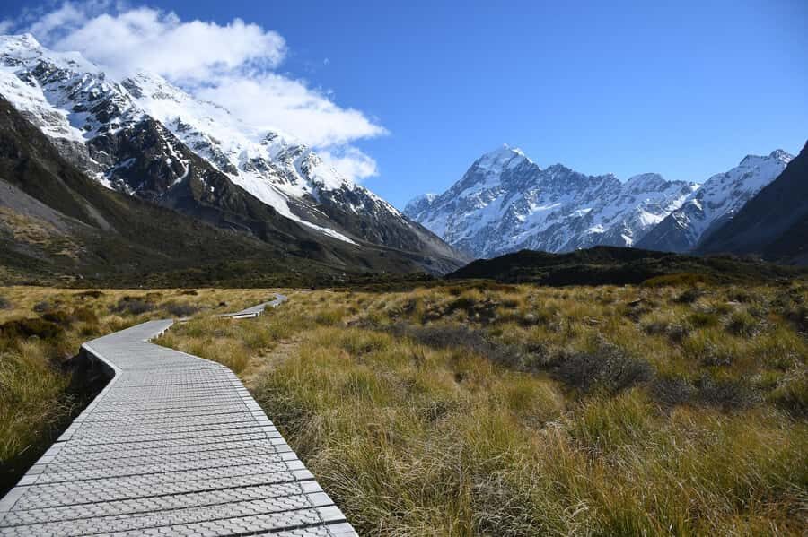 From Christchurch: Mount Cook & Lake Tekapo Day Tour & Lunch - Key things to know before you go