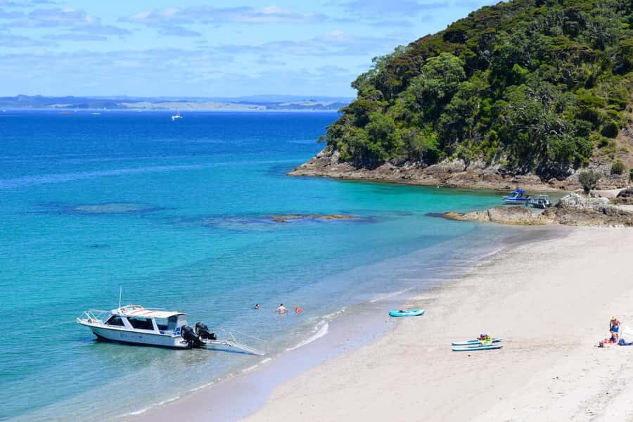 From Paihia: Scenic Cruise with Roberton Island Stopover - Key highlights worth aiming for