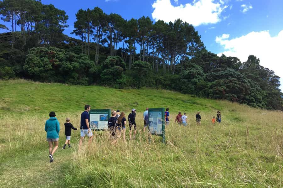 From Paihia: Scenic Cruise with Roberton Island Stopover - Hole in the Rock run and Cape Brett Lighthouse: the weather reality check