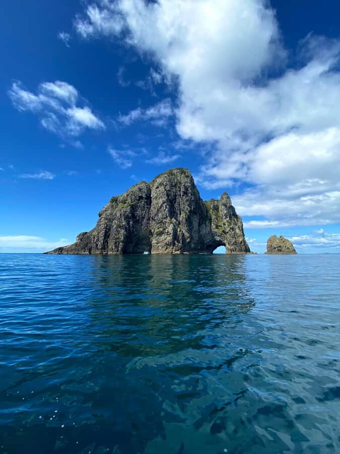 From Paihia: Scenic Cruise with Roberton Island Stopover - Guides and onboard feel: why the crew makes the difference