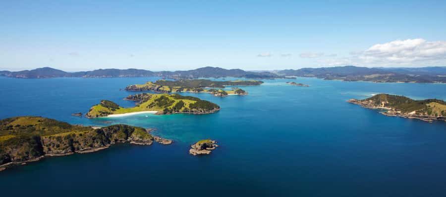 From Paihia: Scenic Cruise with Roberton Island Stopover - Timing and what to pack for a smooth 3-hour plan