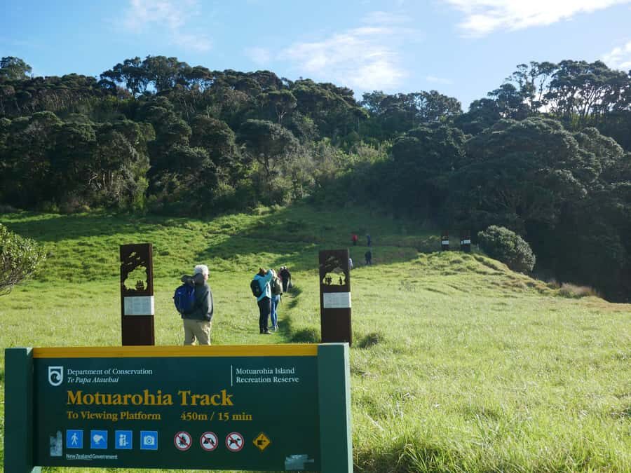 From Paihia: Scenic Cruise with Roberton Island Stopover - Price and value: is $78 worth it?