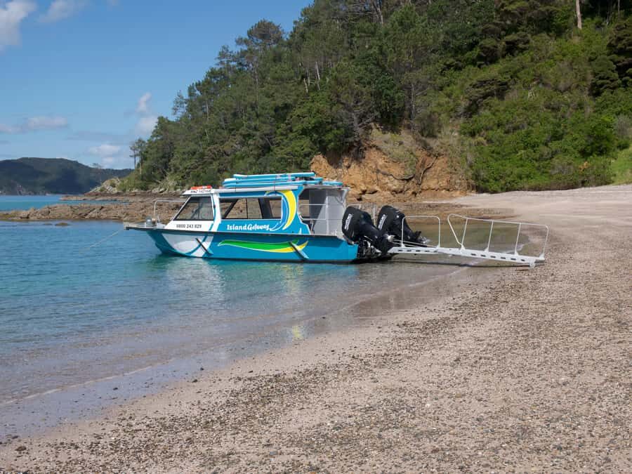 From Paihia: Scenic Cruise with Roberton Island Stopover - Who this cruise suits best (and who should think twice)