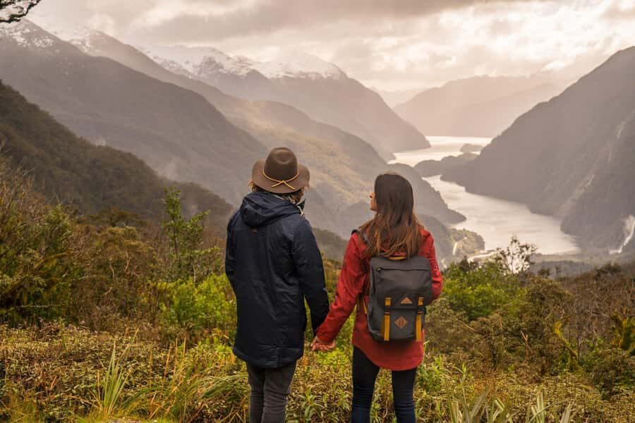From Queenstown: Doubtful Sound Wilderness Day Trip - Wilmot Pass Coach Ride: Rainforest Views Without the Climb