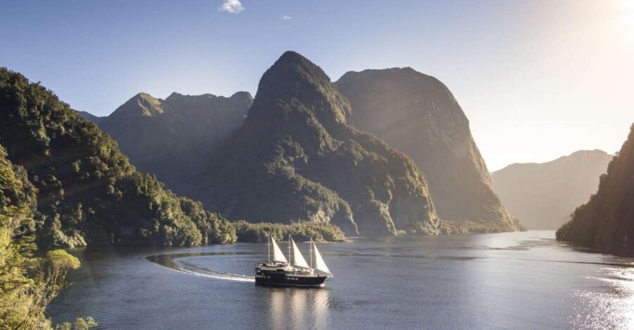 From Queenstown: Doubtful Sound Wilderness Day Trip - The Big Moment: 3 Hours Cruising Doubtful Sound