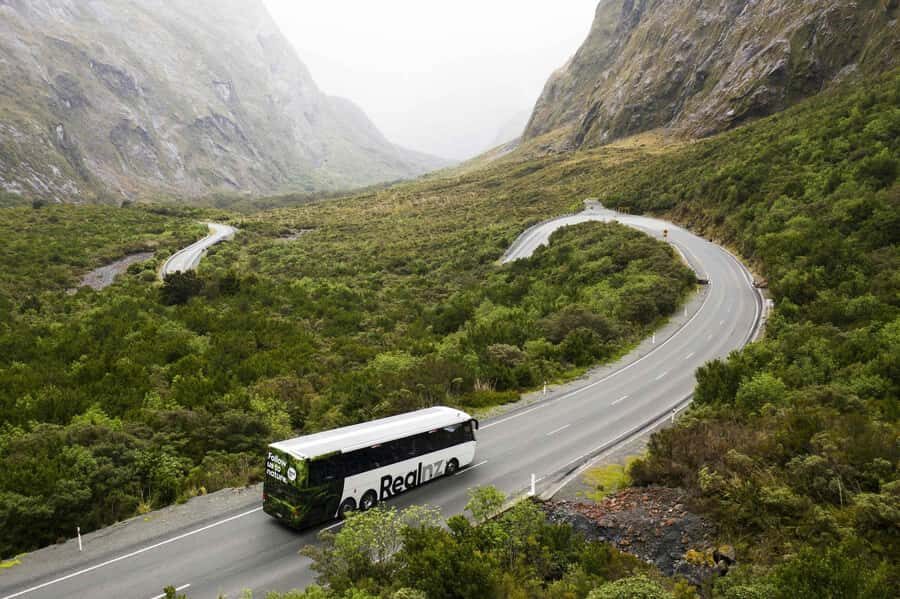 From Queenstown: Milford Sound Cruise and Coach Day Tour - Milford Road stops: Eglinton Valley, Mirror Lakes, Monkey Creek