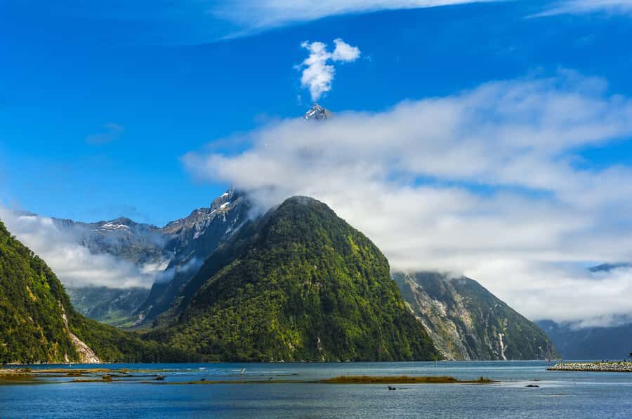 From Queenstown Milford Sound Cruise & Glass-Roof Coach Tour - Mirror Lakes and Eglinton Valley: the stops that set expectations