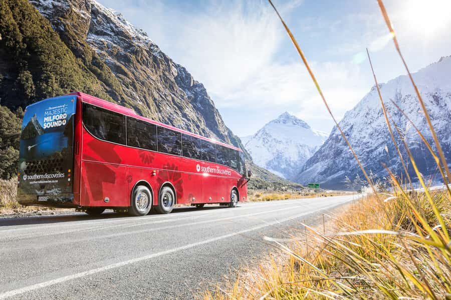 From Queenstown: Milford Sound Day Trip on Premium Coach - The Premium Coach Experience That Makes the Day Feel Easier