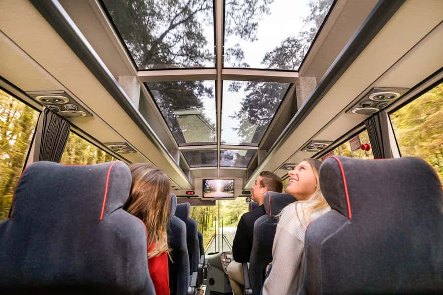 From Queenstown: Milford Sound Day Trip on Premium Coach - Queenstown Departure and the Te Anau Break That Resets You