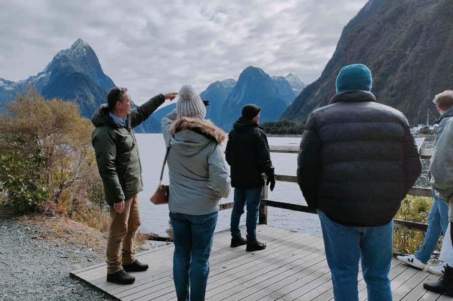 From Queenstown: Milford Sound Flight and Nature Cruise - Wildlife Spotting: Seals, Dolphins, and the Penguin Possibility