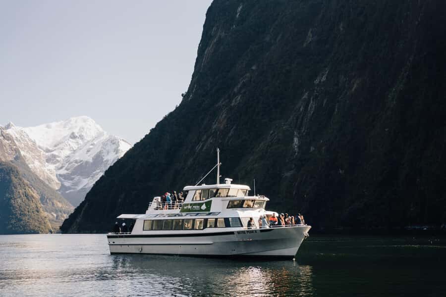 From Queenstown: Milford Sound Full-Day Trip by Plane & Boat - Wildlife and waterfall viewing: what you should actually watch for
