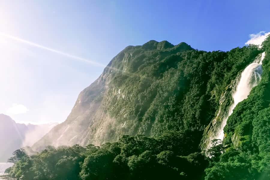 From Queenstown: Milford Sound Premium Day Tour and Cruise - Dolphins, seals, and the best wildlife odds