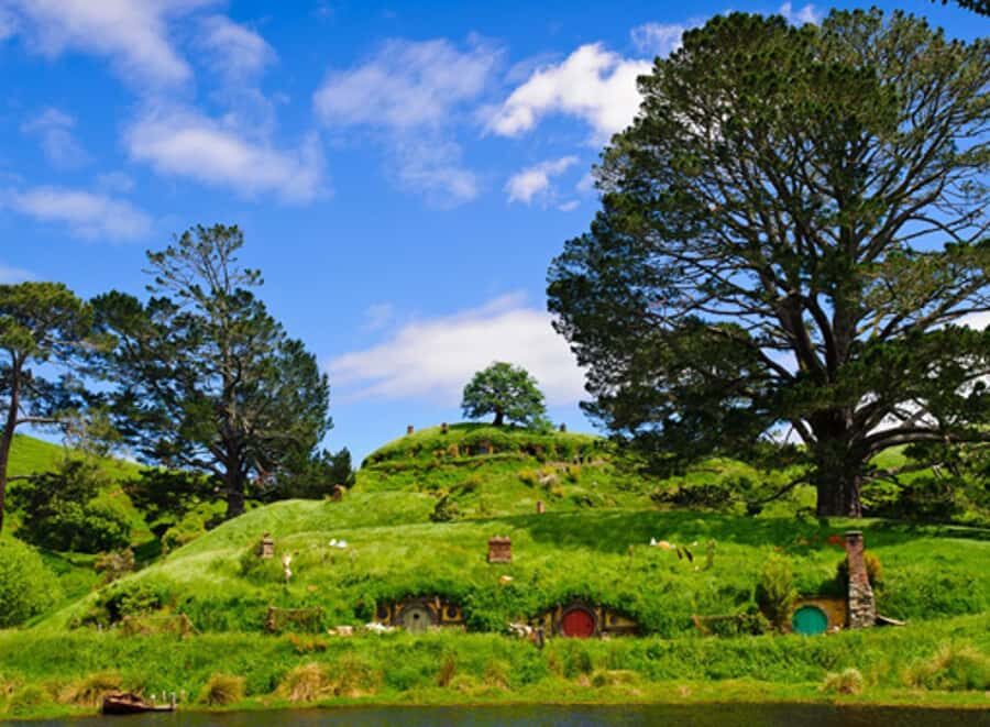 From Rotorua: Hobbiton Movie Set Tour with Festive Lunch - The guided walk: Hobbit holes, the Party Tree, and story-first sightseeing