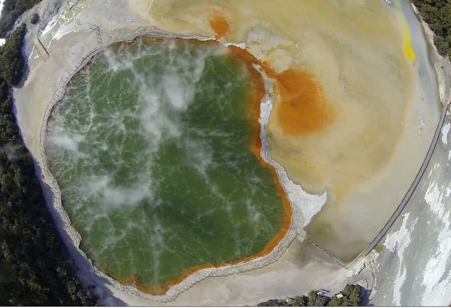 From Rotorua: Wai O Tapu & Waimangu Eco Thermal Morning Tour - Cafe Lunch Break at Waimangu Volcanic Valley Cafe (30 Minutes)