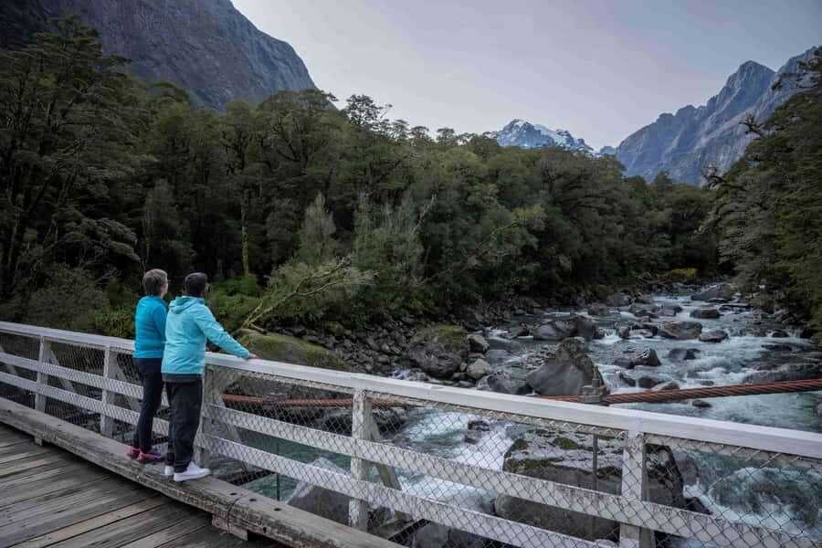 From Te Anau: Milford Sound Coach, Cruise, and Walks - Milford Sound in one small-group day from Te Anau