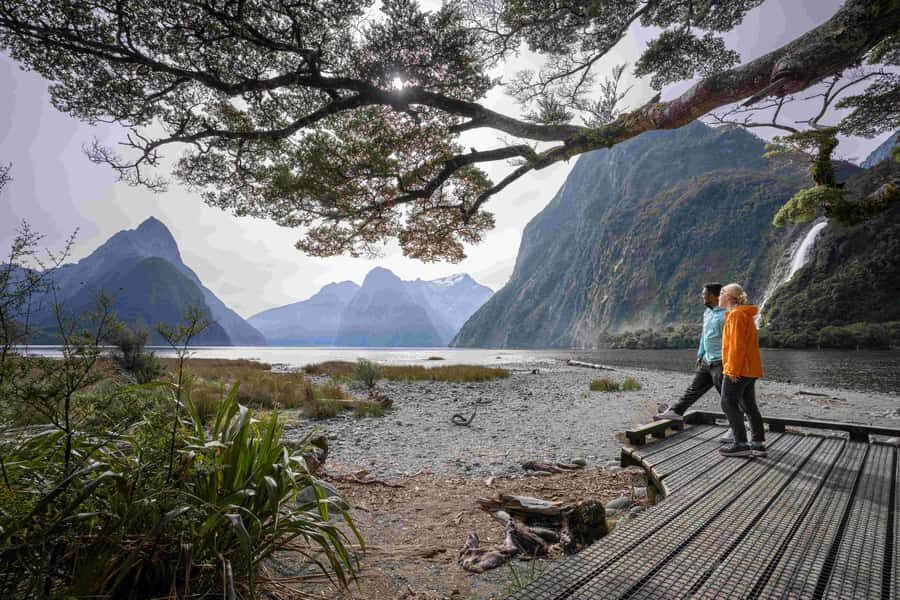 From Te Anau: Milford Sound Coach, Cruise, and Walks - After the boat: Fiordland National Park walks and stop-and-look moments