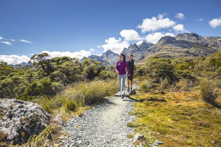 From Te Anau: Milford Sound Coach, Cruise, and Walks - Packed picnic lunch: how it fits the day (and a small tip)