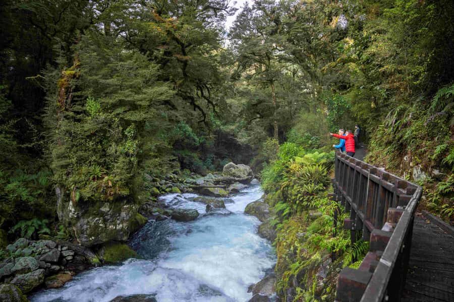 From Te Anau: Milford Sound Coach, Cruise, and Walks - Weather reality check: how to dress so Fiordland works for you