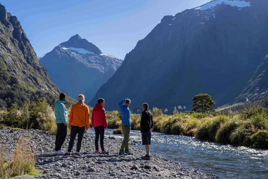 From Te Anau: Milford Sound Coach, Cruise, and Walks - The Milford Road coach ride: where the trip starts before you reach the water