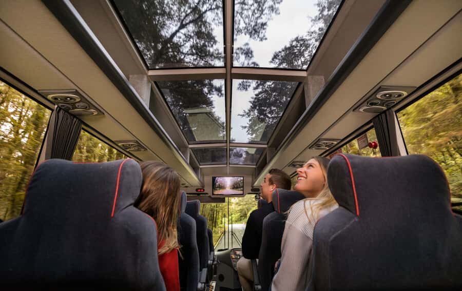 From Te Anau: Milford Sound Premium Bus Tour and Cruise - A Te Anau to Milford Sound day that feels built for low-stress sightseeing