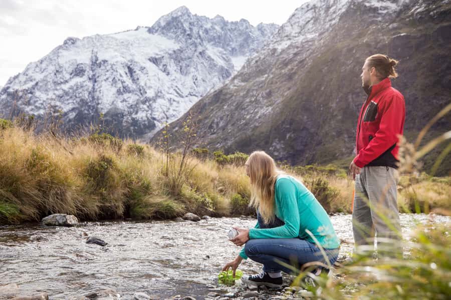 From Te Anau: Milford Sound Premium Bus Tour and Cruise - Price and value: why $140 can be a fair deal