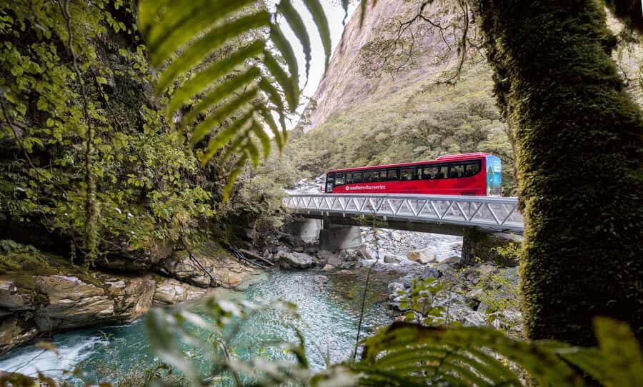 From Te Anau: Milford Sound Premium Bus Tour and Cruise - Should you book this Milford Sound Premium Bus Tour and Cruise?