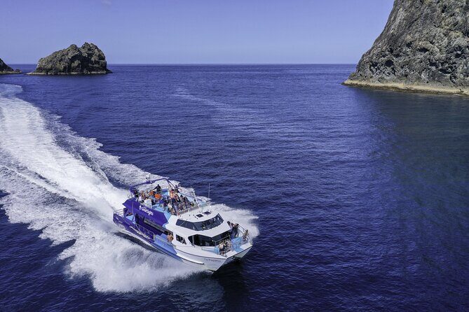 Full-Day Bay of Islands Tour by Vigilant Yacht Charters - Lunch, Coffee, and the Veggie Options That Keep You Going