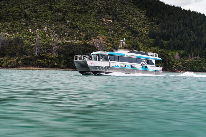 Full Day Iconic Mail Boat Cruise - Timing, Setting, and How to Plan Your Morning in Havelock