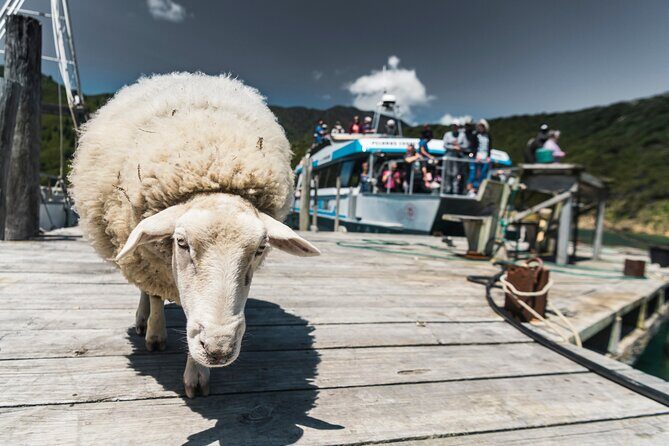 Full Day Iconic Mail Boat Cruise - How Much Is It Worth? The Price in Context