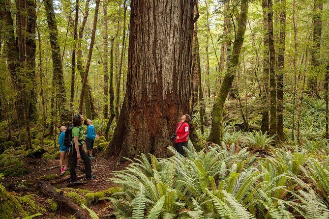 Full-Day Milford Sound Tour with Cruise and Walks from Te Anau - Key things that make this Milford Sound day work