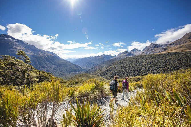 Full-Day Milford Sound Tour with Cruise and Walks from Te Anau - Your day, stop by stop: what you’ll see and what to watch for