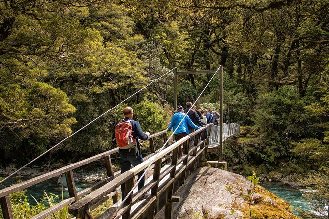 Full-Day Milford Sound Tour with Cruise and Walks from Te Anau - Price check: what $192.78 gets you (and why it can be worth it)