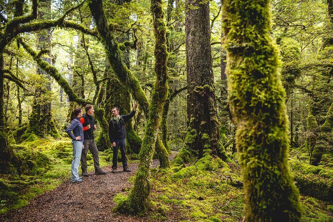 Full-Day Milford Sound Tour with Cruise and Walks from Te Anau - The small-group minivan ride: why max 15 matters