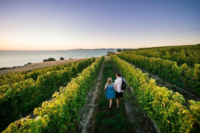 Full Day Winemakers Tour in Marlborough - Price and Value: What $133.42 Covers (and What Costs Extra)