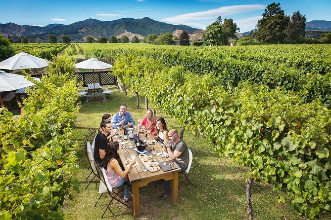 Full Day Winemakers Tour in Marlborough - Your Winemaker-Led Route: What Each Stop Is Really Like