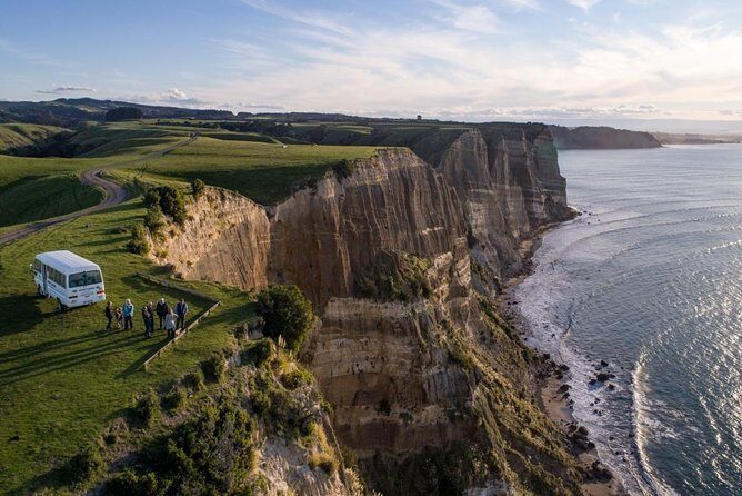 Gannet Safaris Overland tour to Cape Kidnappers Gannet Colony - The 3-hour timing: how the day actually flows