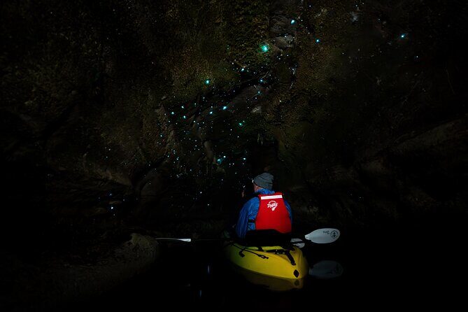 Glow Worm Kayak Tour - Rotorua pickup and the drive to the lake edge